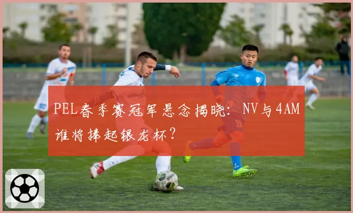 PEL春季赛冠军悬念揭晓：NV与4AM谁将捧起银龙杯？
