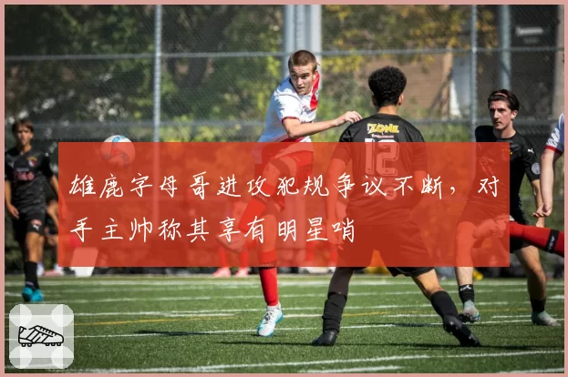 雄鹿字母哥进攻犯规争议不断，对手主帅称其享有明星哨